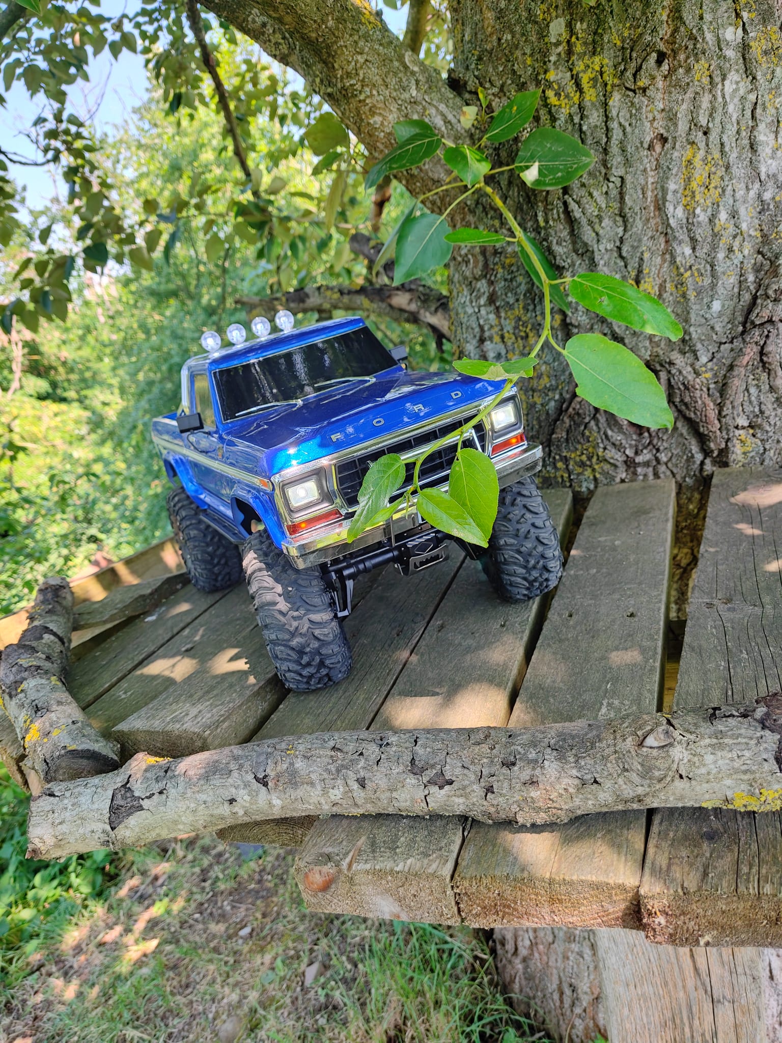 RC045 Ford crawler op het podium